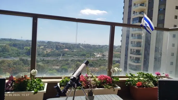 צמחים המתאימים למרפסות פתוחות וחשופות לרוח צמחים באדניות במרפסת פתוחה בקומה גבוהה